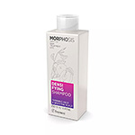 DENSIFYING SHAMPOO - Zhušťující šampon - 250 ml