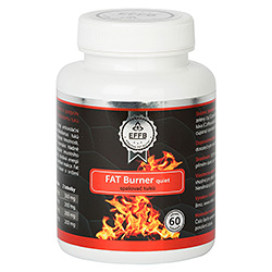 Fat Burner guiet spalovač tuků - 60 tbl