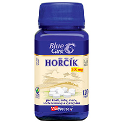 Hořčík 300 mg - 120 tablet